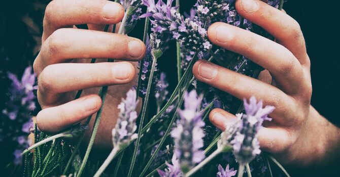 Massage Therapy Student